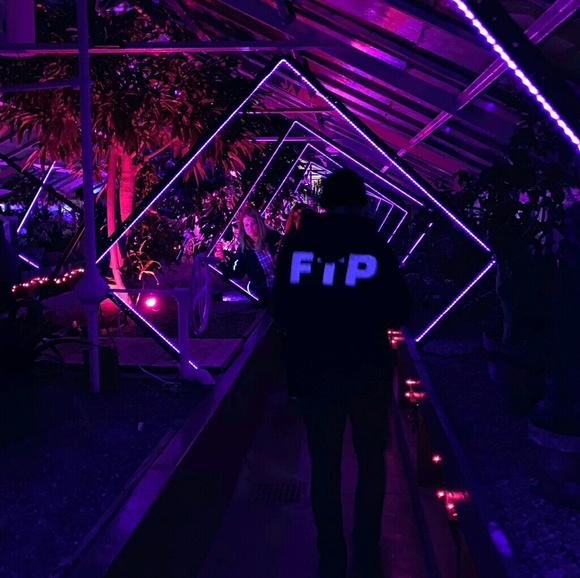 Meet your Posher, Dan - Picture 3 of 8